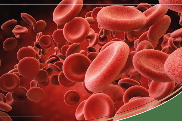 Blood-in-Urine-What-are-the-causes_20a12c8b-c5bb-4be5-8079-9fd8bb9490d7