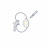 Robotic partial nephrectomy icon